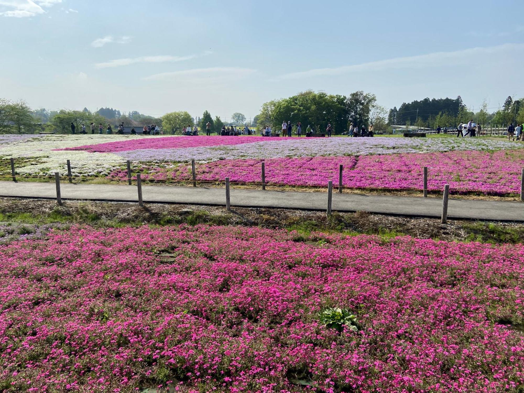 Vessel Inn Keisei Tsudanuma Station Narashino Buitenkant foto